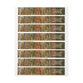 Rückgang der waldfarbenen Herbstfotografie (Bogen)