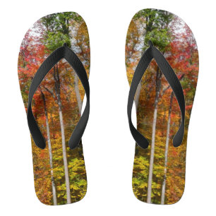Rückgang der waldfarbenen Herbstfotografie Badesandalen