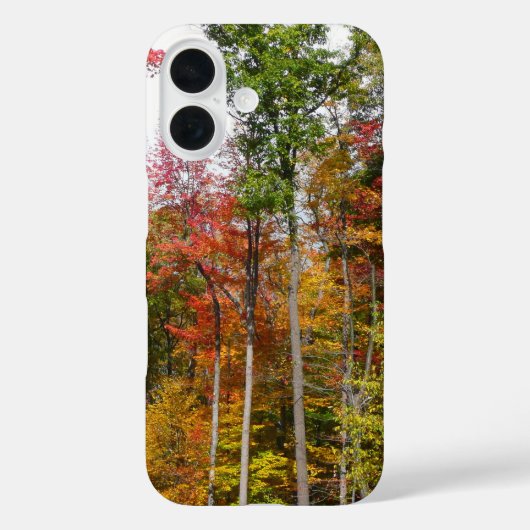 Rückgang der waldfarbenen Herbstfotografie Case-Mate iPhone Hülle (Rückseite)