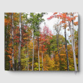 Rückgang der waldfarbenen Herbstfotografie Gästebuch (Rückseite)