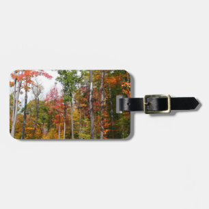 Rückgang der waldfarbenen Herbstfotografie Gepäckanhänger