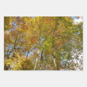 Rückgang der waldfarbenen Herbstfotografie Geschenkpapier Set (Vorderseite 2)