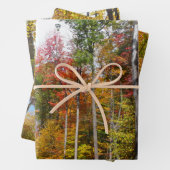 Rückgang der waldfarbenen Herbstfotografie Geschenkpapier Set (Beispiel)