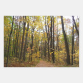Rückgang der waldfarbenen Herbstfotografie Geschenkpapier Set (Vorderseite 3)