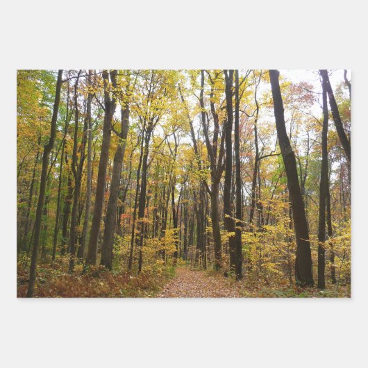 Rückgang der waldfarbenen Herbstfotografie Geschenkpapier Set (Vorderseite 3)