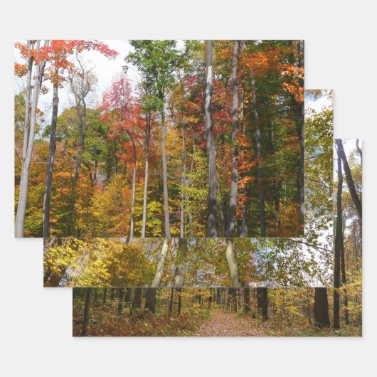 Rückgang der waldfarbenen Herbstfotografie Geschenkpapier Set (Set)