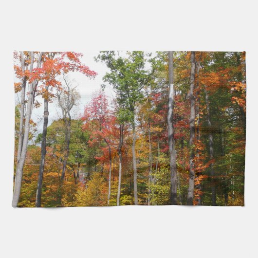Rückgang der waldfarbenen Herbstfotografie Geschirrtuch (Horizontal)