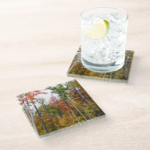 Rückgang der waldfarbenen Herbstfotografie Glasuntersetzer (Schrägansicht)