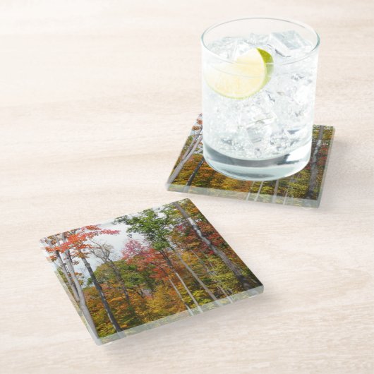 Rückgang der waldfarbenen Herbstfotografie Glasuntersetzer (Schrägansicht)