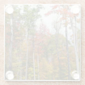 Rückgang der waldfarbenen Herbstfotografie Glasuntersetzer (Rückseite)