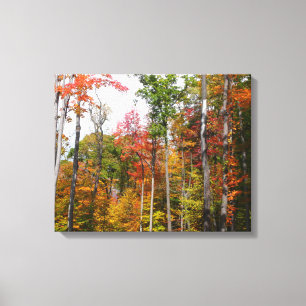 Rückgang der waldfarbenen Herbstfotografie Leinwanddruck