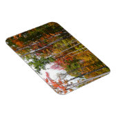 Rückgang der waldfarbenen Herbstfotografie Magnet (Rechte Seite)