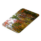 Rückgang der waldfarbenen Herbstfotografie Magnet (Linke Seite)