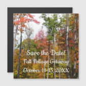 Rückgang der waldfarbenen Herbstfotografie Magnetkarte (Vorne/Hinten)