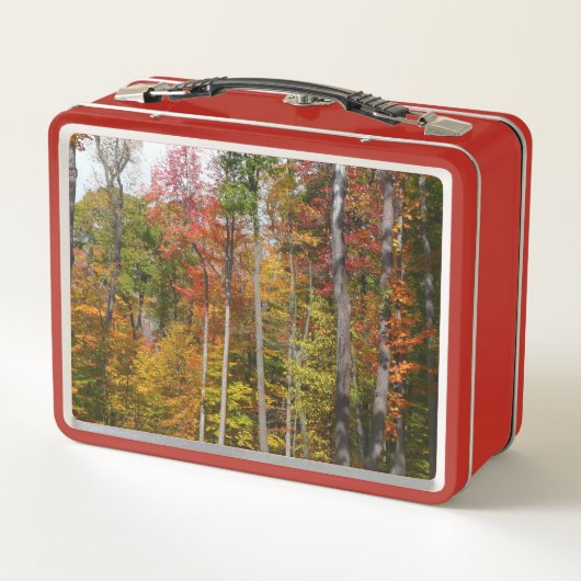 Rückgang der waldfarbenen Herbstfotografie Metall Brotdose (Rückseite)