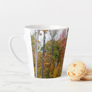Rückgang der waldfarbenen Herbstfotografie Milchtasse
