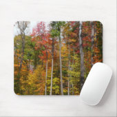 Rückgang der waldfarbenen Herbstfotografie Mousepad (Mit Mouse)