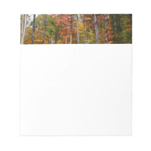 Rückgang der waldfarbenen Herbstfotografie Notizblock