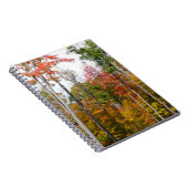 Rückgang der waldfarbenen Herbstfotografie Notizblock (Rechte Seite)