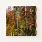 Rückgang der waldfarbenen Herbstfotografie Notizblock (Rückseite)