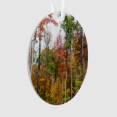 Rückgang der waldfarbenen Herbstfotografie Ornament (Vorderseite)