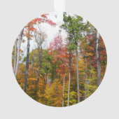 Rückgang der waldfarbenen Herbstfotografie Ornament (Rückseite)