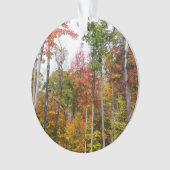 Rückgang der waldfarbenen Herbstfotografie Ornament (Vorderseite)