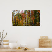 Rückgang der waldfarbenen Herbstfotografie Poster (Küche)