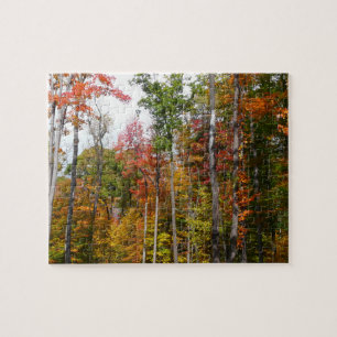 Rückgang der waldfarbenen Herbstfotografie Puzzle