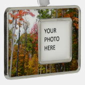 Rückgang der waldfarbenen Herbstfotografie Rahmen-Ornament Silber (Rechts)