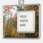 Rückgang der waldfarbenen Herbstfotografie Rahmen-Ornament Silber (Links)