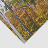 Rückgang der waldfarbenen Herbstfotografie Seidenpapier (Detail)