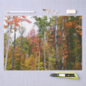 Rückgang der waldfarbenen Herbstfotografie Seidenpapier (Handwerk)