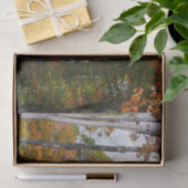 Rückgang der waldfarbenen Herbstfotografie Seidenpapier (Geschenk)