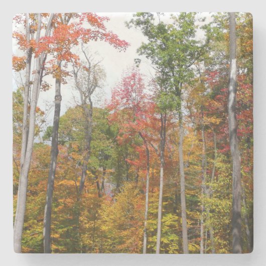 Rückgang der waldfarbenen Herbstfotografie Steinuntersetzer (Vorderseite)