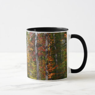 Rückgang der waldfarbenen Herbstfotografie Tasse