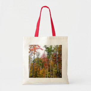 Rückgang der waldfarbenen Herbstfotografie Tragetasche