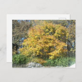 Rückgang im Mittleren Westen Postkarte (Vorne/Hinten)