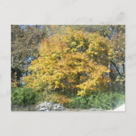 Rückgang im Mittleren Westen Postkarte