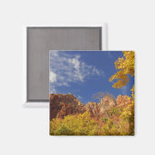 Rückgang in Zion Magnet (Vorderseite/Rückseite)