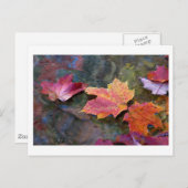 Rückgang Postkarte (Vorne/Hinten)