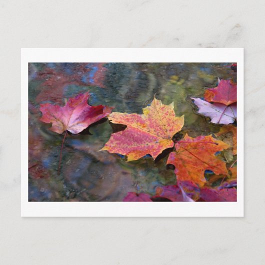 Rückgang Postkarte (Vorderseite)