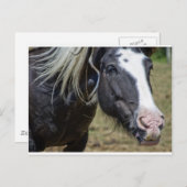 RÜCKGESCHLOSSENER PFERD POSTKARTE (Vorne/Hinten)
