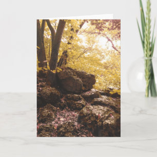 Rückgrat Staat Park Iowa Feiertagskarte