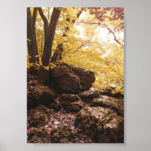 Rückgrat Staat Park Iowa Poster