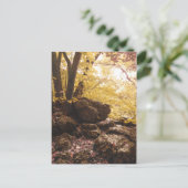 Rückgrat Staat Park Iowa Postkarte (Stehend Vorderseite)