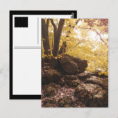 Rückgrat Staat Park Iowa Postkarte (Vorne/Hinten)