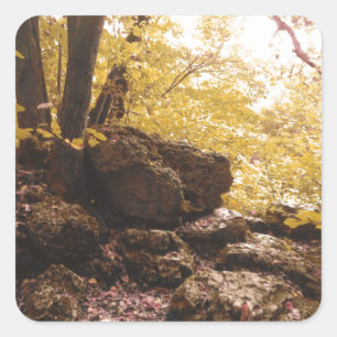 Rückgrat-Staat-Park Iowa Quadratischer Aufkleber