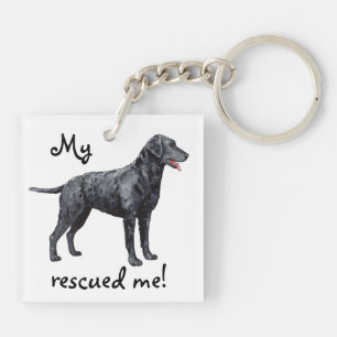 Rückhalteeinrichtung mit Curly-Coated Retriever Schlüsselanhänger