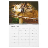 Rückkehr des grauen Wolfs Kalender (Feb 2027)